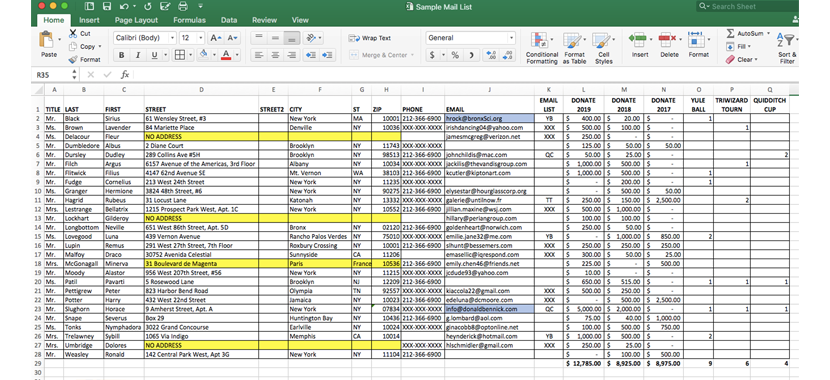Image: screenshot of an excel spreadsheet that shows how you can track your donor activity.