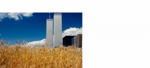 Photo of an environmental artwork by Agnes Denes; a wheatfield in the foreground and World Trade Center buildings in the background against a clouded blue sky.