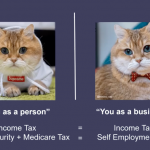 Screenshot from Brass Taxes NYFA presentation, featuring two cats--one as a "person," one as an "individual"