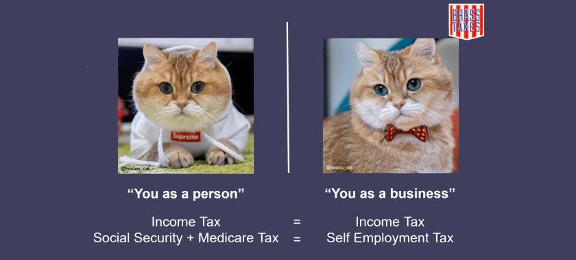 Screenshot from Brass Taxes NYFA presentation, featuring two cats--one as a "person," one as an "individual"