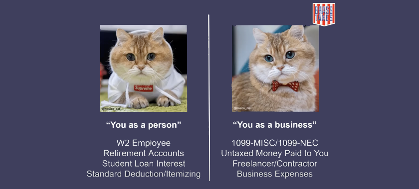 Screenshot from Brass Taxes NYFA presentation, featuring two cats--one as a "person," one as an "individual"
