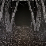 Black and white chalk wall drawing of multiple photographs of birth trees with a path through the center. A black mountain is in the background.