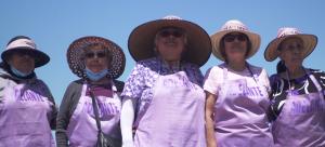 Five individuals pictured from the waist up wearing purple aprons with the word "ADELANTE" and sun hats with the words "We are here" in English and Spanish
