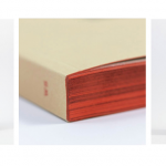 A triptych depicts three angles of a book with a tan cover, small black and white image on the front, red text on the back and red binding.