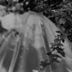 A black and white photograph depicts a woman wearing a translucent veil standing amidst a rose of sharon tree with abundant white flowers, her hands raised embracing the environment around her.