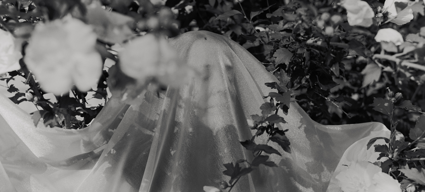 A black and white photograph depicts a woman wearing a translucent veil standing amidst a rose of sharon tree with abundant white flowers, her hands raised embracing the environment around her.