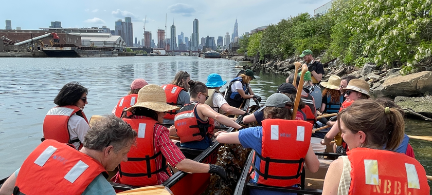 Two canoes with participants look at a line of kelp in Newtown Creek, the NYC skyline in the background