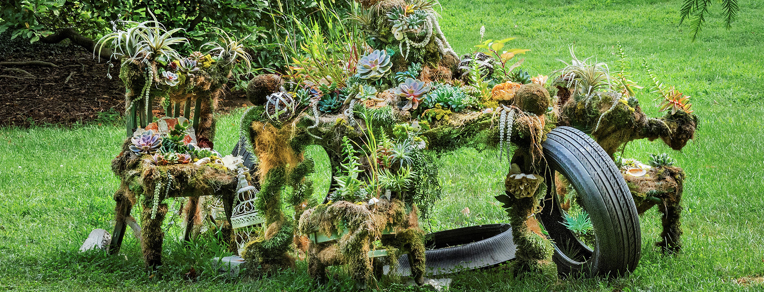 An old table and chairs covered in moss, succulents, and grasses sit on a lawn beneath large trees. Two black tires lean against the structure, and plants grow from every surface, including a small wire shelf and a silver teapot nestled at the base.
