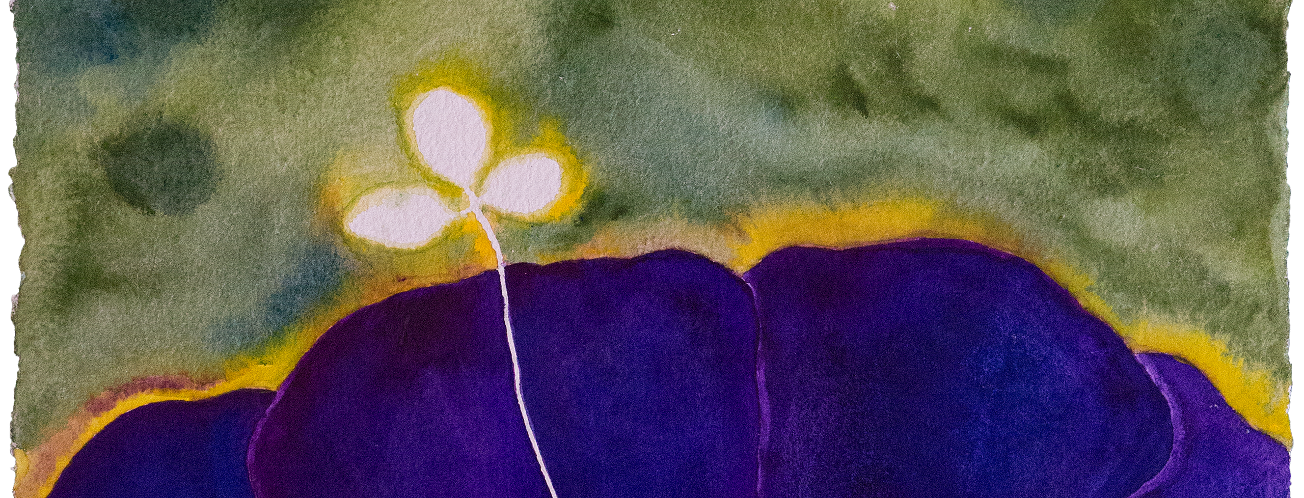 Watercolor painting detail by Basil Alkazzi featuring a small clover like plant rising up