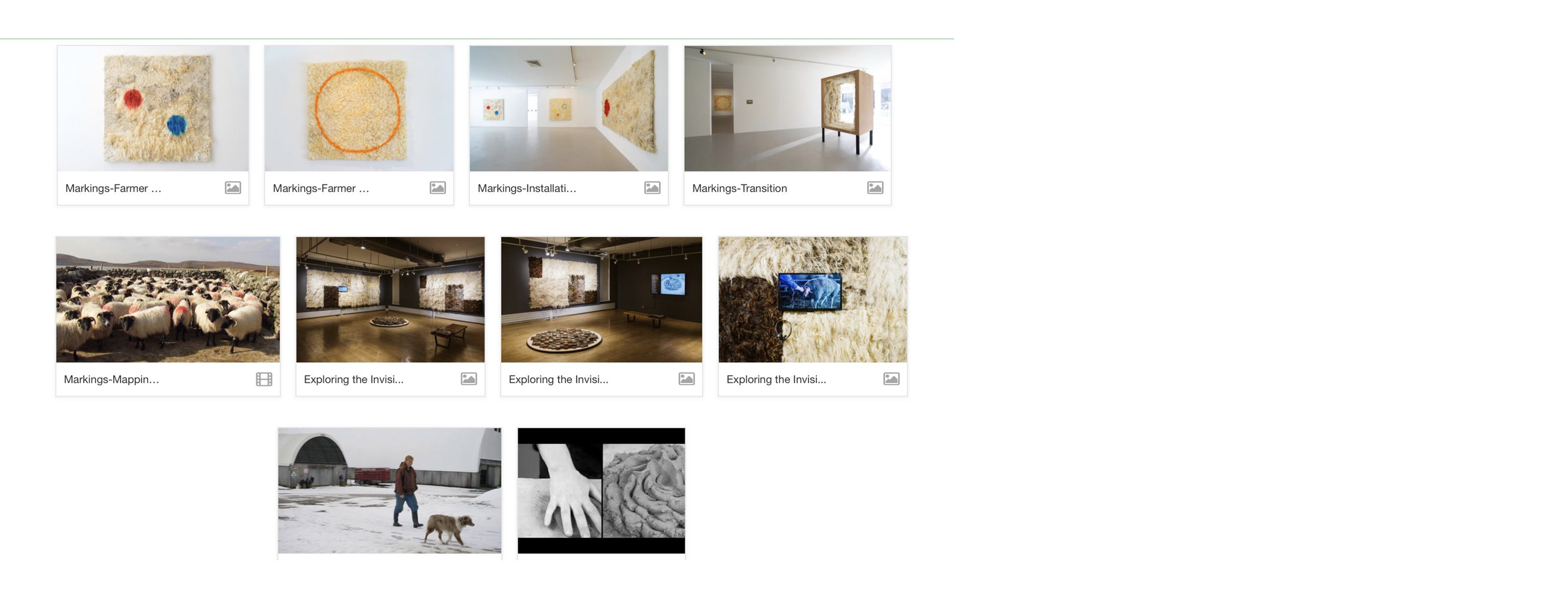 A visually cohesive series of images representing Brigitta Varadi's work
