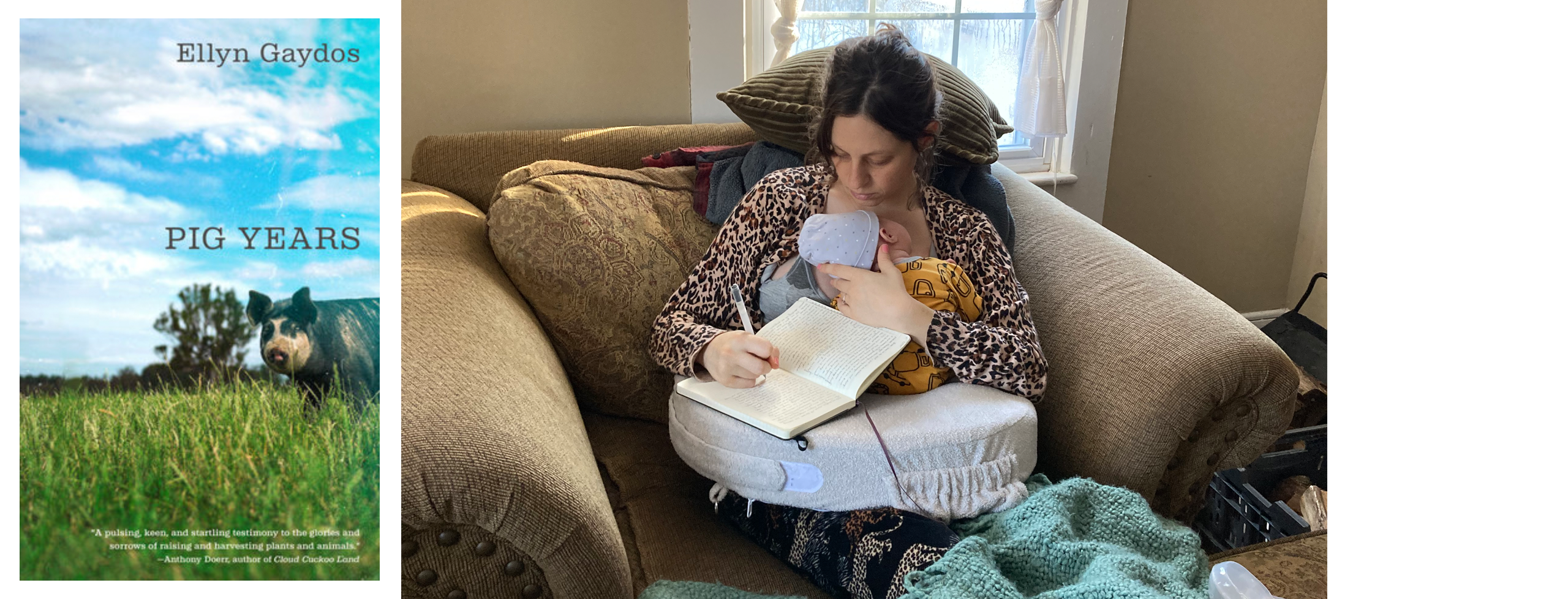 Image composite featuring the "Pig Years" book cover alongside an image of Ellyn Gaydos writing while cradling her child on a couch