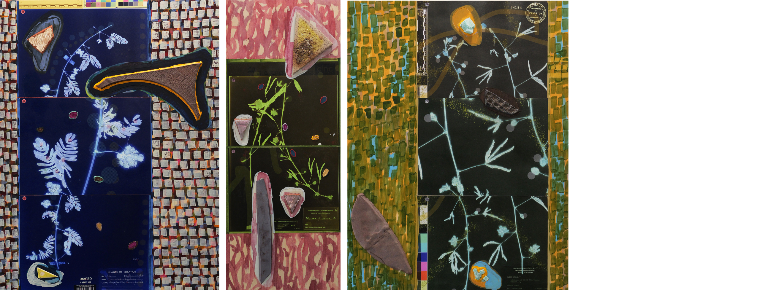 Three works by Crystal Z Campbell. On the L, Narrow, rectangular birch wood canvas with cyanotype colored image of mimosa pudica plant punctuated by multi-colored abstract brush strokes and ceramic elements. In the center, Narrow, rectangular birch wood canvas with black and DayGlo green image of mimosa pudica plant punctuated by pink abstract brush strokes and ceramic elements. On the right, Rectangular birch wood canvas with forest green image of mimosa pudica plant punctuated by abstract brush strokes, crystals, and ceramic elements.